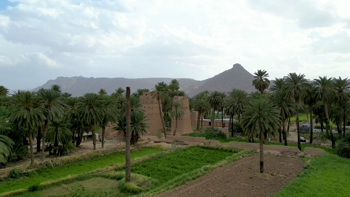 نخيل ومنازل طينية في نجران، لقطة جوية نهارية.