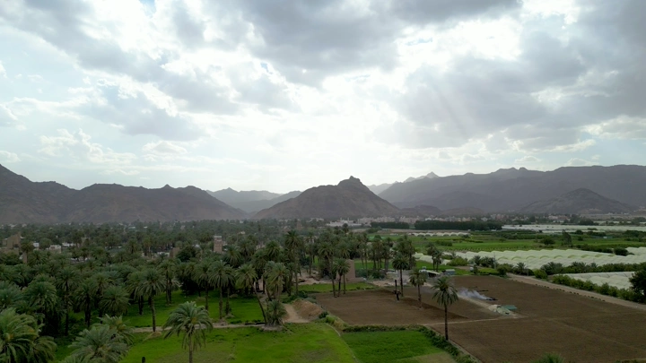 مزرعة نخيل في نجران تحت السماء الغائمة، لقطة جوية.