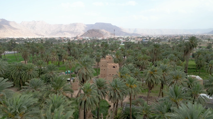 نخيل بين بيوت طين في نجران، لقطة جوية نهارية.