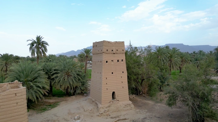 برج طيني بين نخيل نجران، لقطة جوية.