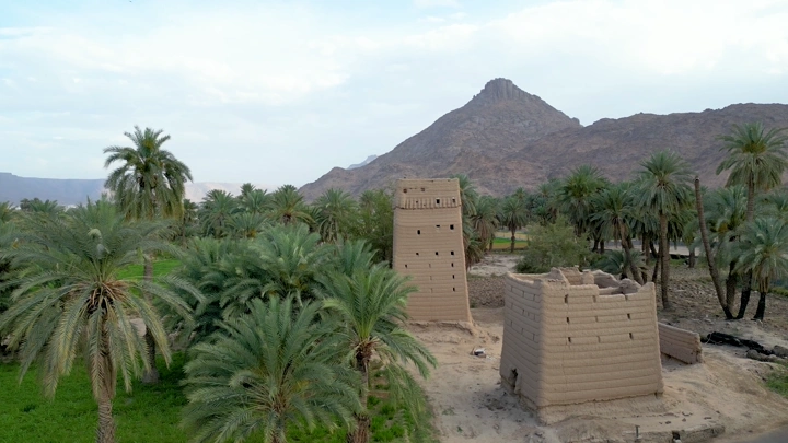 نخيل ومنازل طينية في نجران، لقطة جوية.