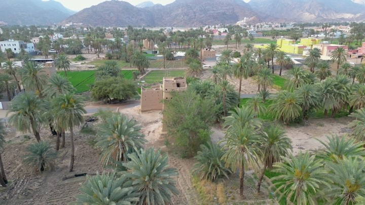نخيل بين بيوت طين في نجران، لقطة جوية.