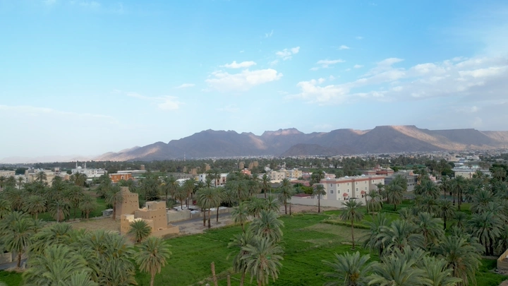 نخيل بين بيوت طين في نجران، صورة جوية نهارية.