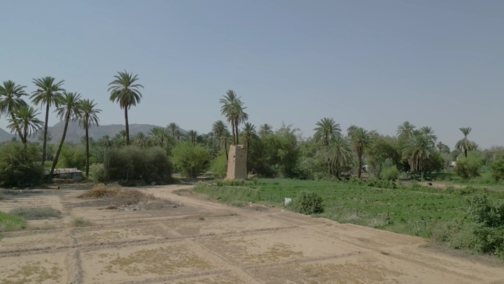 نخيل بين بيوت طين في نجران، لقطة جوية نهارية.