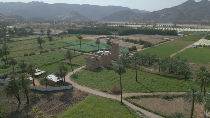 نخيل بين بيوت طين في نجران، لقطة جوية نهارية.