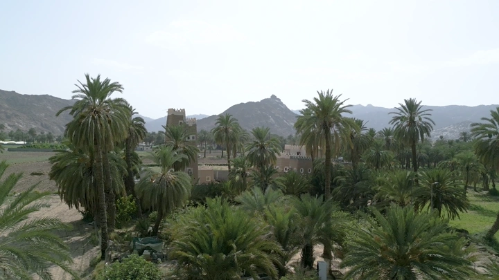 نخيل بين بيوت طين في نجران، لقطة جوية نهارية.