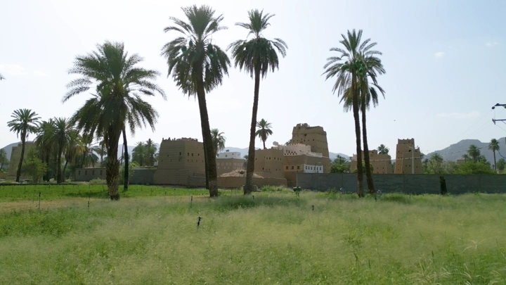 نخيل بين بيوت طين في نجران، لقطة نهارية واسعة.