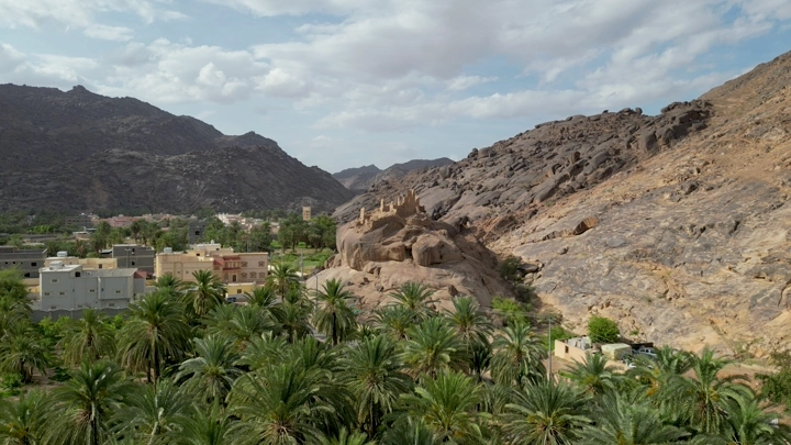 نخيل بين بيوت طين في نجران، لقطة جوية نهارية.