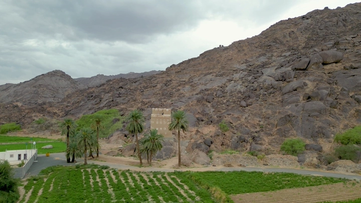 نخيل بين بيوت طين في نجران، لقطة جوية .