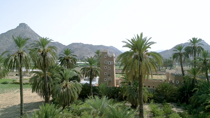 نخيل بين بيوت طين في نجران، لقطة جوية نهارية.