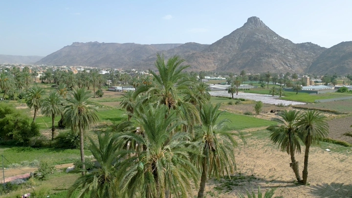 نخيل بين بيوت طين في نجران، صورة جوية نهارية.