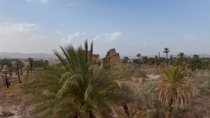 بيوت طينية في نجران مع نخيل، لقطة جوية.