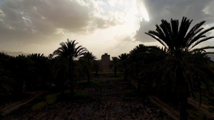 بيت طيني بين النخيل في نجران، لقطة جوية.
