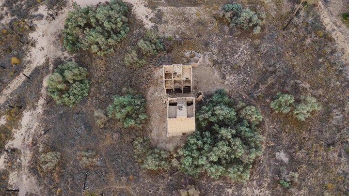 بيوت طينية في نجران محاطة بالأشجار، لقطة جوية.