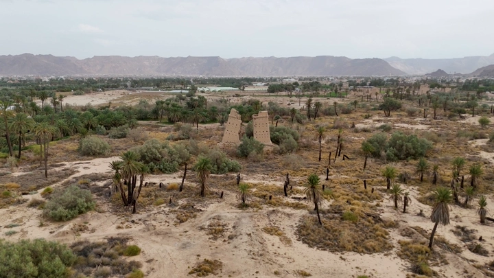 بيوت طينية في نجران محاطة بأشجار النخيل، لقطة جوية.