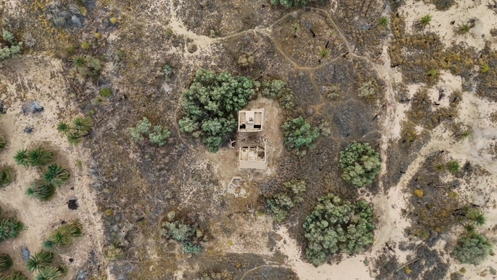 بيوت طينية في نجران محاطة بأشجار، لقطة جوية.