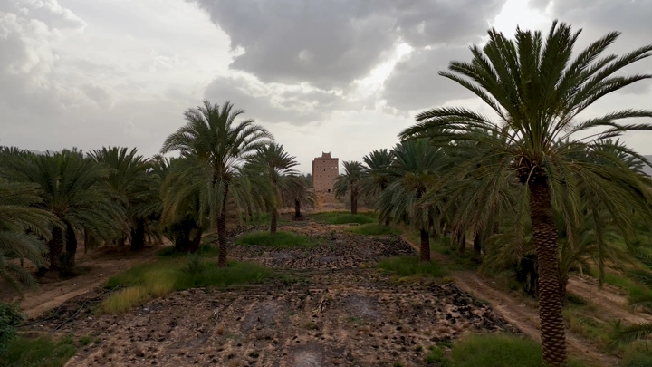 منظر لبيوت طين نجران بين النخيل، لقطة جوية.
