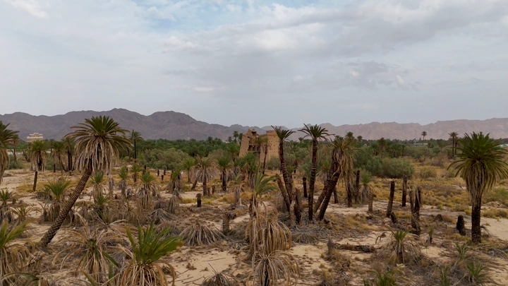 بيوت طينية في نجران بين النخيل، لقطة جوية.