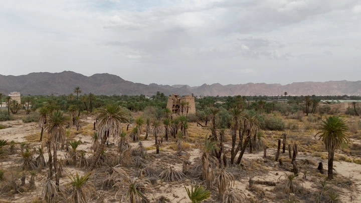 منظر لبيوت طينية في نجران مع نخيل وجبال، لقطة جوية.