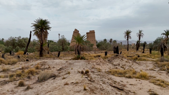 بيوت طينية تقليدية في نجران مع نخيل، لقطة نهارية.