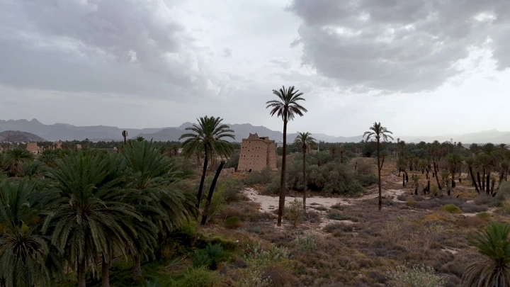 منظر جوي لبيوت طين في نجران محاطة بالنخيل، في يوم غائم.