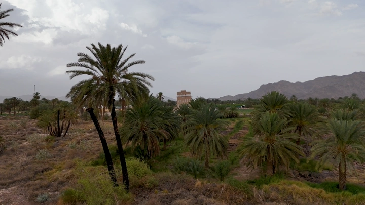 نخيل ومبنى طيني في نجران، تصوير جوي.