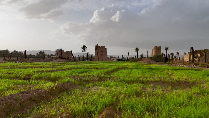 بيوت طينية في نجران مع حقل أخضر، لقطة أرضية.