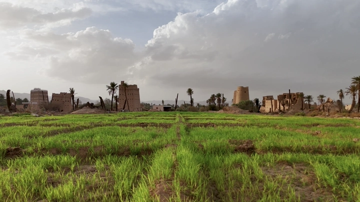 بيوت طين في نجران مع حقول خضراء، صورة من مستوى الأرض.
