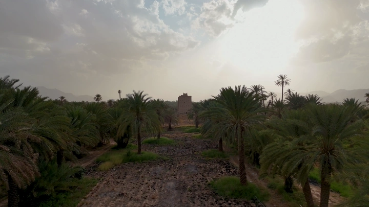 منظر لبيوت طين في نجران بين النخيل، لقطة جوية.