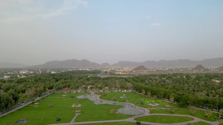 غابة سقام نجران من الأعلى في النهار، لقطة جوية.