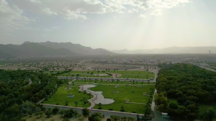 غابة سقام نجران من الأعلى في النهار، لقطة جوية.