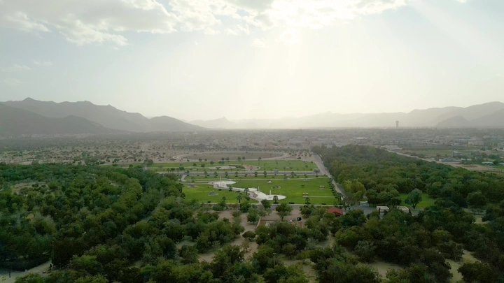 غابة سقام في نجران تحت ضوء الشمس، لقطة جوية.