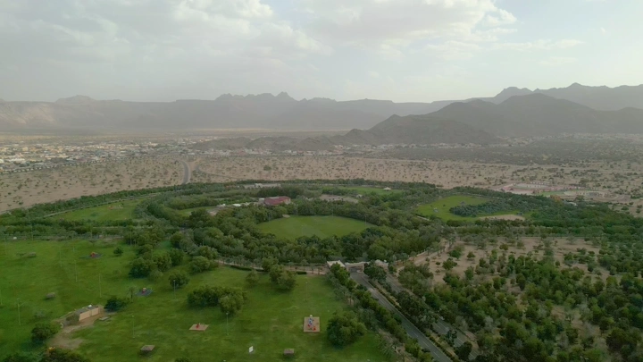 غابة سقام في نجران، لقطة جوية تظهر المساحات الخضراء والجبال في الخلفية.