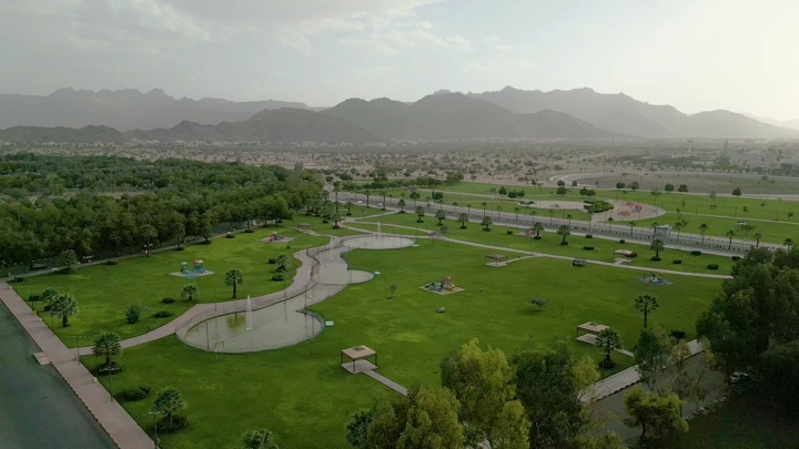 غابة سقام نجران من الأعلى في يوم مشمس، لقطة جوية.