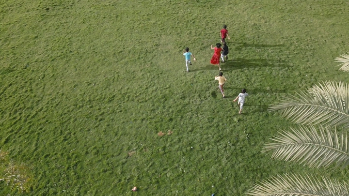 أطفال يركضون في غابة سقام نجران، لقطة جوية.