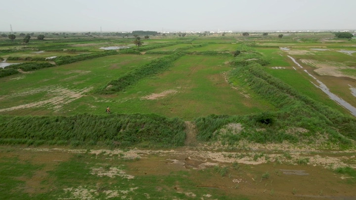 مزارع خضراء في جيزان تحت سماء غائمة، لقطة جوية.