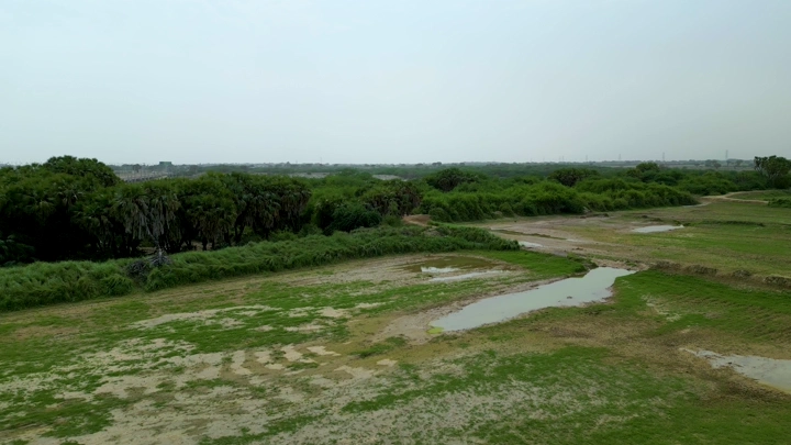 منظر لمزارع جيزان الخضراء تحت سماء غائمة، لقطة جوية.