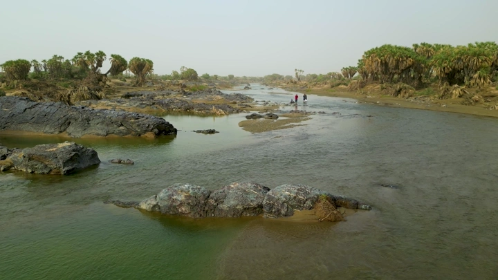 سيل مياه في جيزان مع أشجار نخيل وصخور، لقطة جوية.