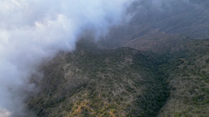 جبال السودة مغطاة بالضباب في منطقة عسير، لقطة درون.