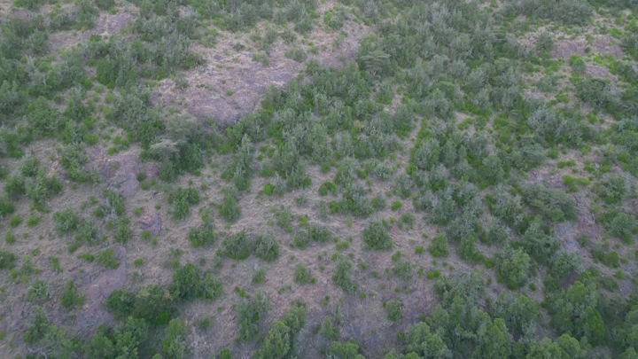 منظر جوي لمنطقة السودة مع الضباب في عسير، لقطة جوية .