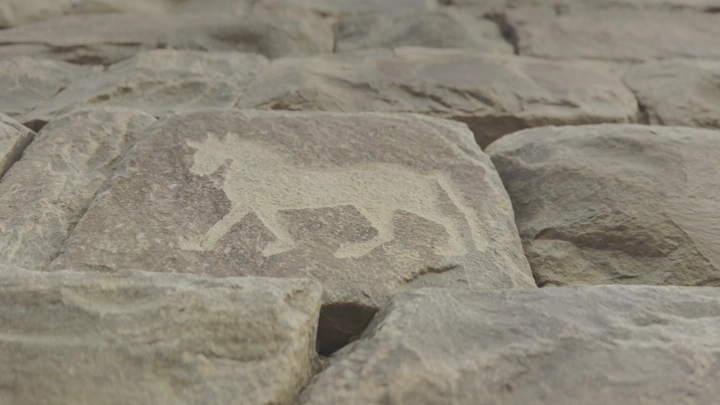 نقوش صخرية لحيوان في الأخدود نجران، لقطة قريبة.