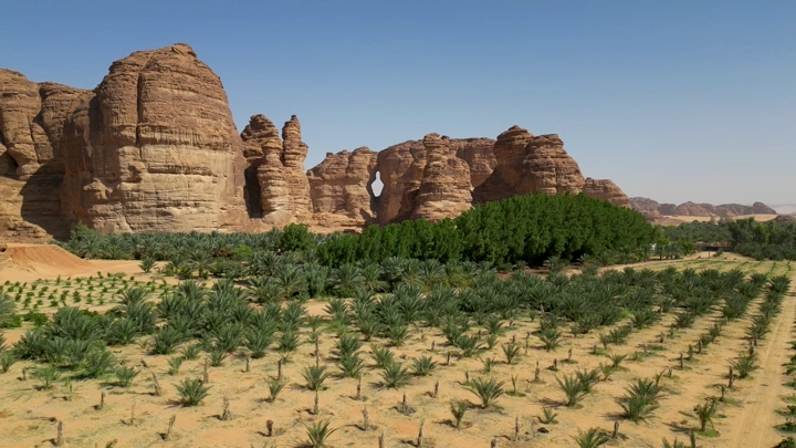 جبال العلا مع مزارع نخيل في المقدمة، لقطة درون.