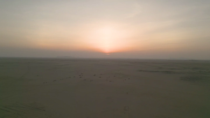 غروب الشمس في الصحراء مع قافلة إبل، لقطة جوية.