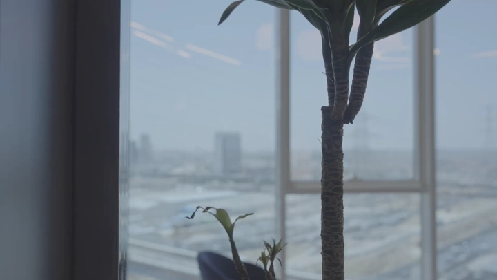 نبات داخلي بجانب نافذة تطل على المدينة، لقطة داخلية.