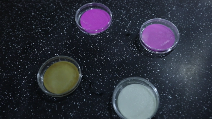 أطباق بتري ملونة على سطح مختبر، لقطة مقربة.