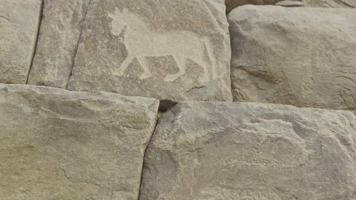 نقوش صخرية لحيوان في نجران، لقطة قريبة.