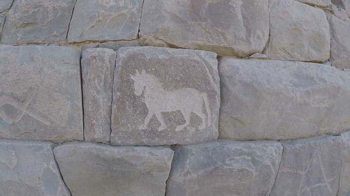 نقوش صخرية لحيوان على جدار حجري في نجران، لقطة قريبة.