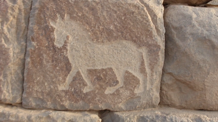 نقش صخري لحيوان في الأخدود نجران، لقطة قريبة.