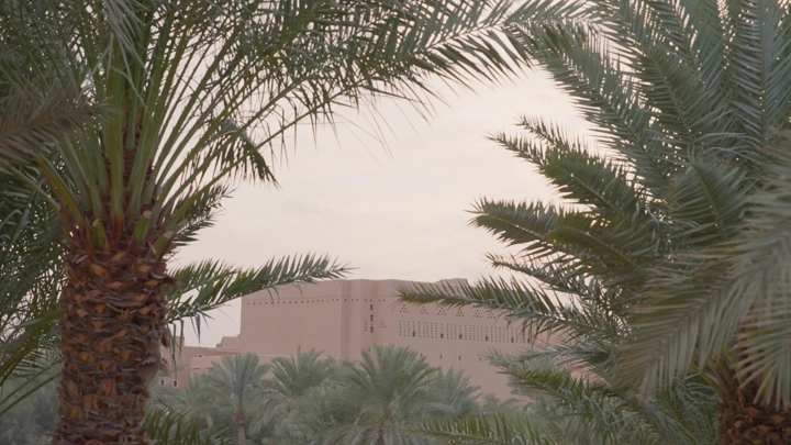 نخيل يحيط بمبنى في منتزه البجيري، لقطة نهارية.