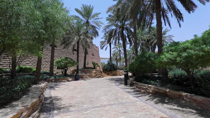 ممر محاط بأشجار النخيل في قصر طويق بالرياض، لقطة نهارية.